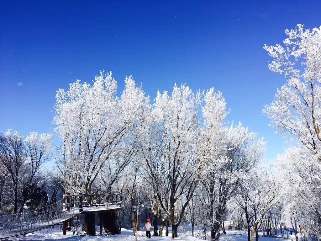 Songhua Lake Qingshan Snow View Apartment Jilin Zewnętrze zdjęcie